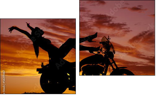 silhouette woman motorcycle heels up hands back - Zweiteiliges Leinwandbild, Diptychon