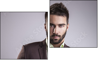 Elegant young handsome man. Studio fashion portrait. - Zweiteiliges Leinwandbild, Diptychon