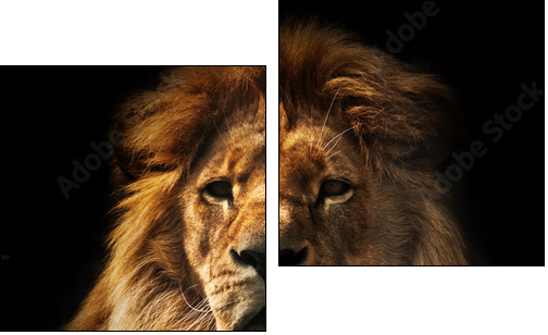 Lion portrait with rich mane on black - Zweiteiliges Leinwandbild, Diptychon