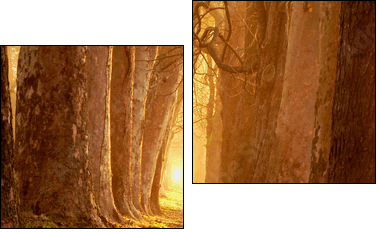 magic path - Zweiteiliges Leinwandbild, Diptychon