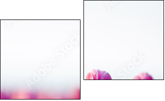 beautifull tulips - Zweiteiliges Leinwandbild, Diptychon