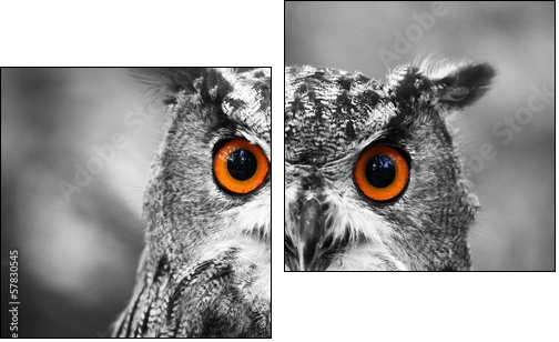 leuchtende Augen - Uhu - Zweiteiliges Leinwandbild, Diptychon