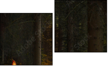 Enchanted nature series - Mushrooms path - Zweiteiliges Leinwandbild, Diptychon