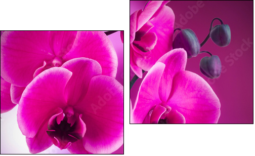 natural floral background, spa concept - Zweiteiliges Leinwandbild, Diptychon