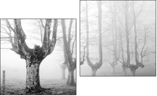 creepy forest with scary trees - Zweiteiliges Leinwandbild, Diptychon