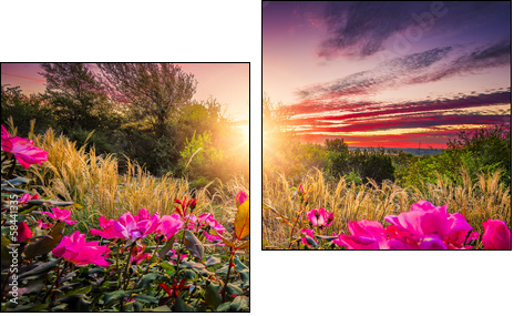 Backyard Sunrise - Zweiteiliges Leinwandbild, Diptychon