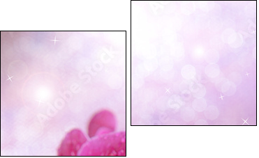 Beautiful blooming orchid  on light color background - Zweiteiliges Leinwandbild, Diptychon