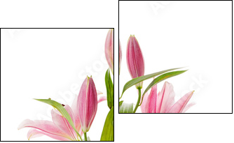 Pink lily - Zweiteiliges Leinwandbild, Diptychon