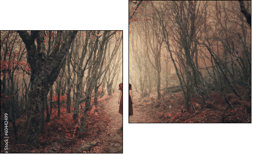 Woman and foggy forest. - Zweiteiliges Leinwandbild, Diptychon