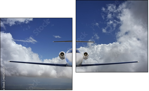 Executive in flight - Zweiteiliges Leinwandbild, Diptychon
