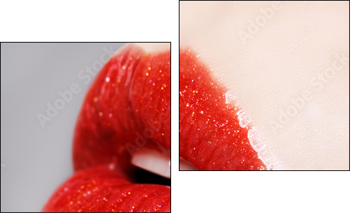 Beautiful female with red shiny lips close up - Zweiteiliges Leinwandbild, Diptychon