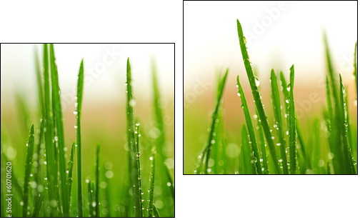 Green wet grass with dew on a blades - Zweiteiliges Leinwandbild, Diptychon