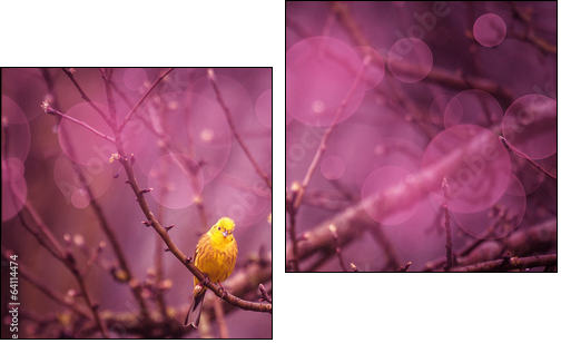 Yellowhammer siiting on a branch in a purple inviroment - Zweiteiliges Leinwandbild, Diptychon