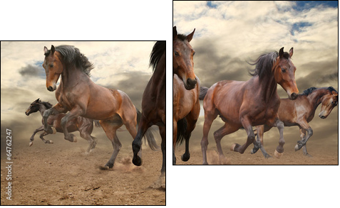 five indomitable bay horse galloping - Zweiteiliges Leinwandbild, Diptychon