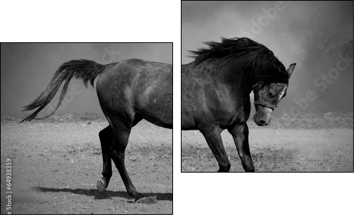 Galloping black horse - Zweiteiliges Leinwandbild, Diptychon