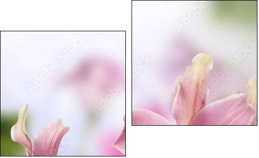 Lily.Flower card - Zweiteiliges Leinwandbild, Diptychon