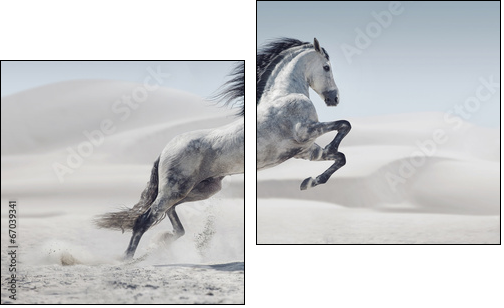 Picture presenting the galloping white horse - Zweiteiliges Leinwandbild, Diptychon
