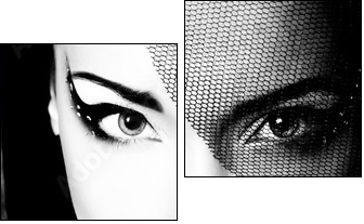 portrait of beautiful young woman, black and white retro styliza - Zweiteiliges Leinwandbild, Diptychon
