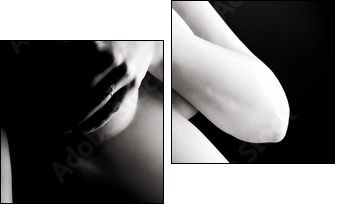 prenatal - Zweiteiliges Leinwandbild, Diptychon