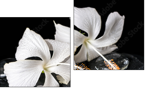 Beautiful cryogenic spa concept of delicate white hibiscus, zen - Zweiteiliges Leinwandbild, Diptychon