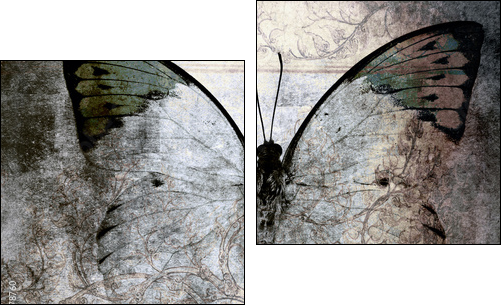 butterfly - Zweiteiliges Leinwandbild, Diptychon