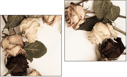 withered rose - Zweiteiliges Leinwandbild, Diptychon