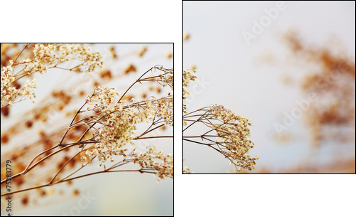 Dried flowers background - Zweiteiliges Leinwandbild, Diptychon