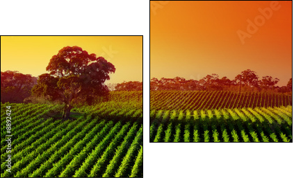 Beautiful Vineyard Landscape with large gum tree - Zweiteiliges Leinwandbild, Diptychon