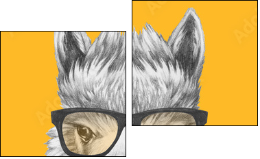 Portrait of Lama with glasses and scarf. Hand drawn illustration. - Zweiteiliges Leinwandbild, Diptychon