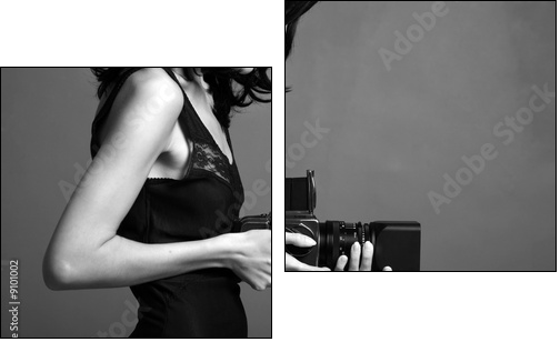 Fashion portrait of young photographing lady - Zweiteiliges Leinwandbild, Diptychon
