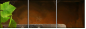 13276134