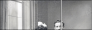 16064534