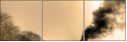 29517510