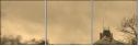 29517691