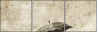 30497770