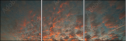32897630