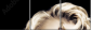 34938176