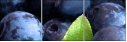 4030305