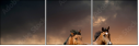 45981925