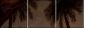 4823952