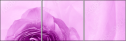 52109021