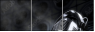 55593987