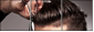 58184409