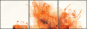 59078070