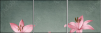 61954635
