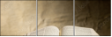 62217650
