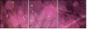 64114474