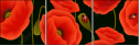 64821989