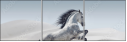 67039341