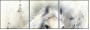76649647